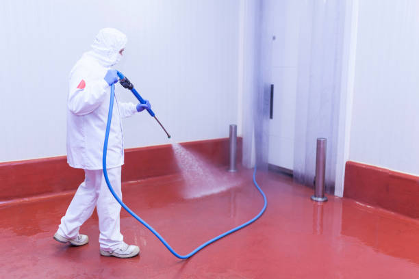 Trusted Elkland, PA Pressure Washing Experts