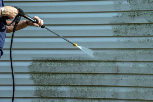 Best House Exterior Washing  in Elkland, PA